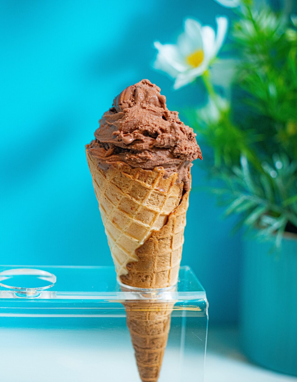 which-chocolate-ice-cream-is-best-the-food-showdown-taste-test